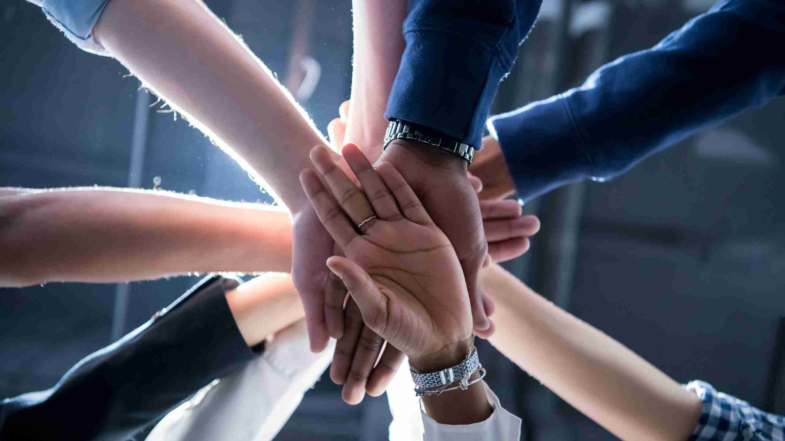 Advocacy Mavens Coalition Collaboration of Marketing Experts